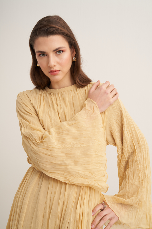 Fouzia Crush Chiffon Dress