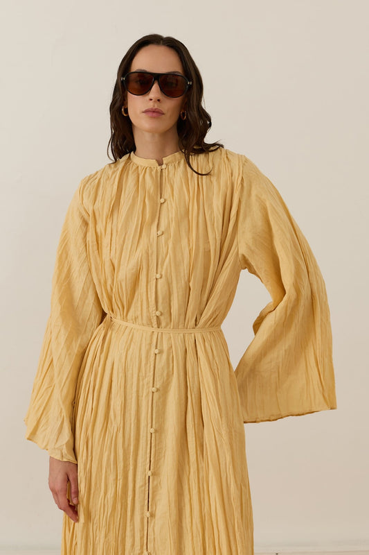 Noemi Crush Voile Dress